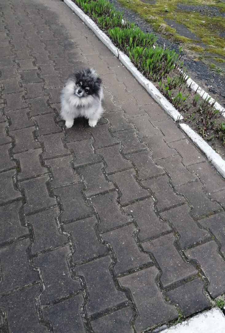 WhatsApp Image 2024-05-11 at 19.00.58.jpeg