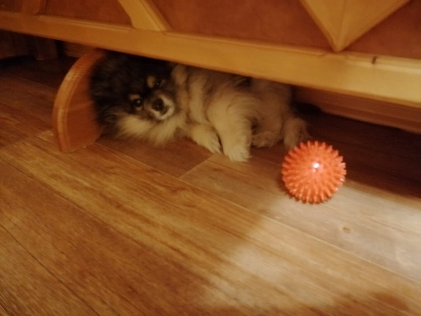 WhatsApp Image 2024-05-12 at 00.42.36 (1).jpeg