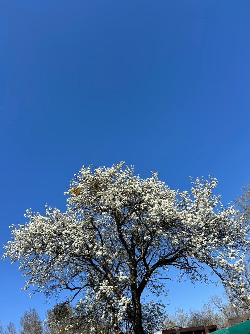 WhatsApp Image 2024-05-24 at 12.59.32 (2).jpeg