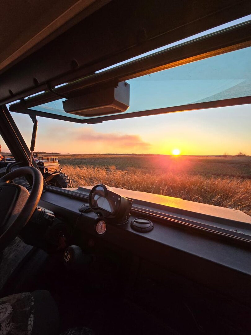 WhatsApp Image 2024-05-24 at 12.59.34 (1).jpeg