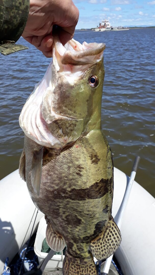 WhatsApp Image 2024-06-13 at 20.59.14.jpeg