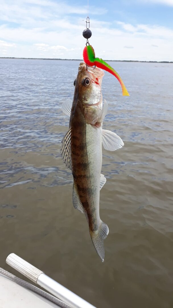 WhatsApp Image 2024-06-13 at 20.59.15(1).jpeg