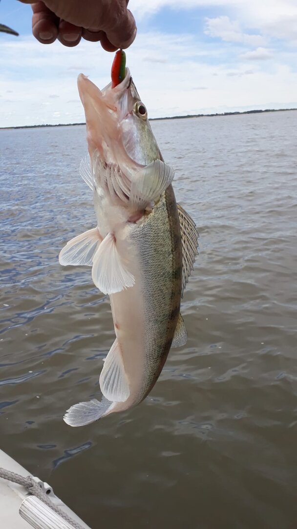 WhatsApp Image 2024-06-13 at 20.59.15.jpeg