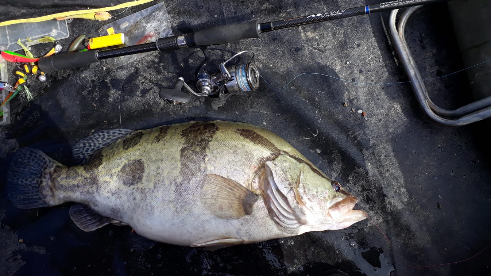 WhatsApp Image 2024-06-13 at 20.59.16(1).jpeg