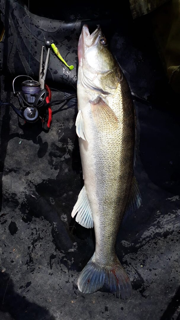 WhatsApp Image 2024-06-13 at 20.59.16.jpeg