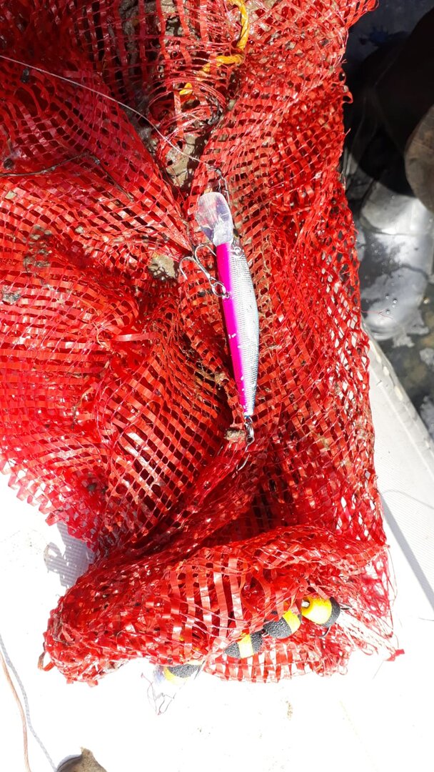 WhatsApp Image 2024-06-13 at 23.09.51.jpeg