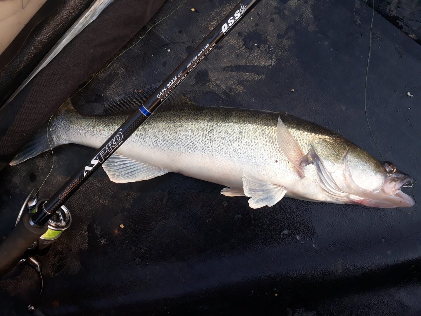 WhatsApp Image 2024-07-04 at 23.03.29.jpeg