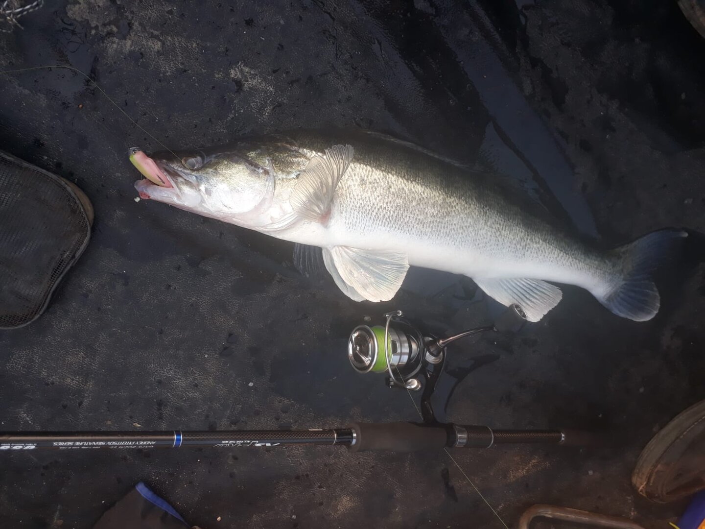 WhatsApp Image 2024-07-04 at 23.03.30(1).jpeg