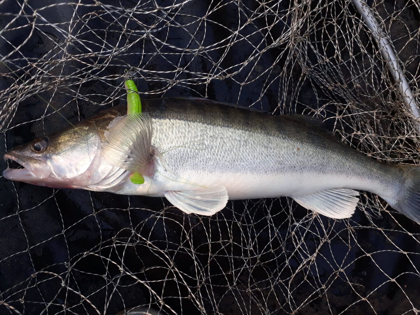 WhatsApp Image 2024-07-04 at 23.03.30.jpeg