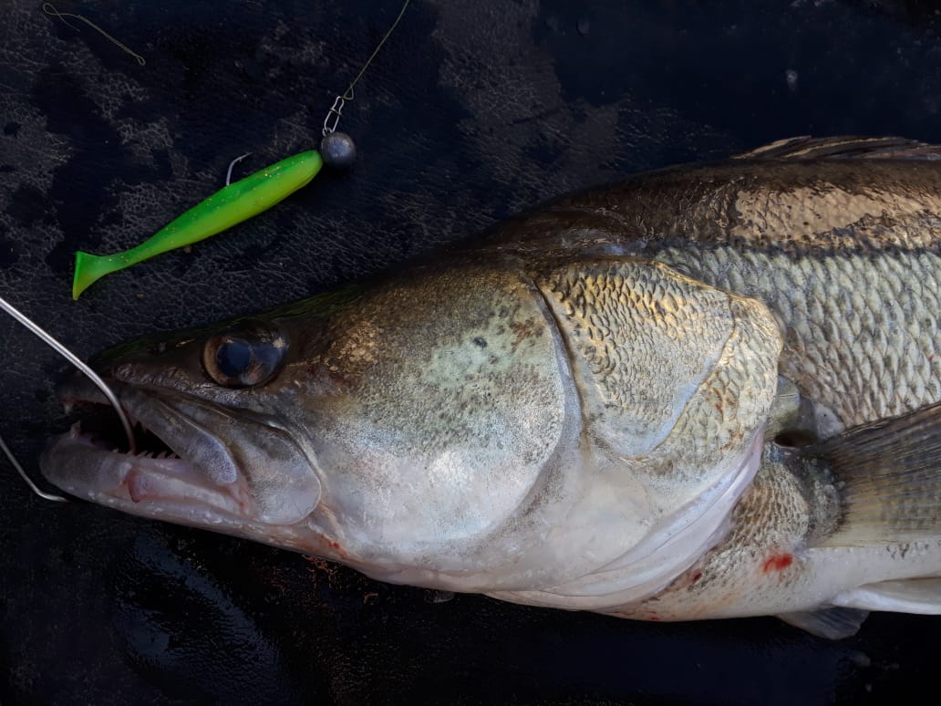 WhatsApp Image 2024-07-25 at 17.03.23.jpeg