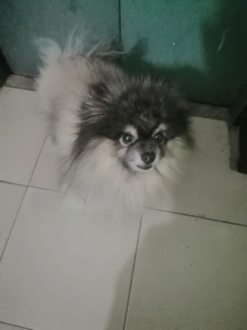 WhatsApp Image 2024-11-13 at 13.16.34 (1).jpeg