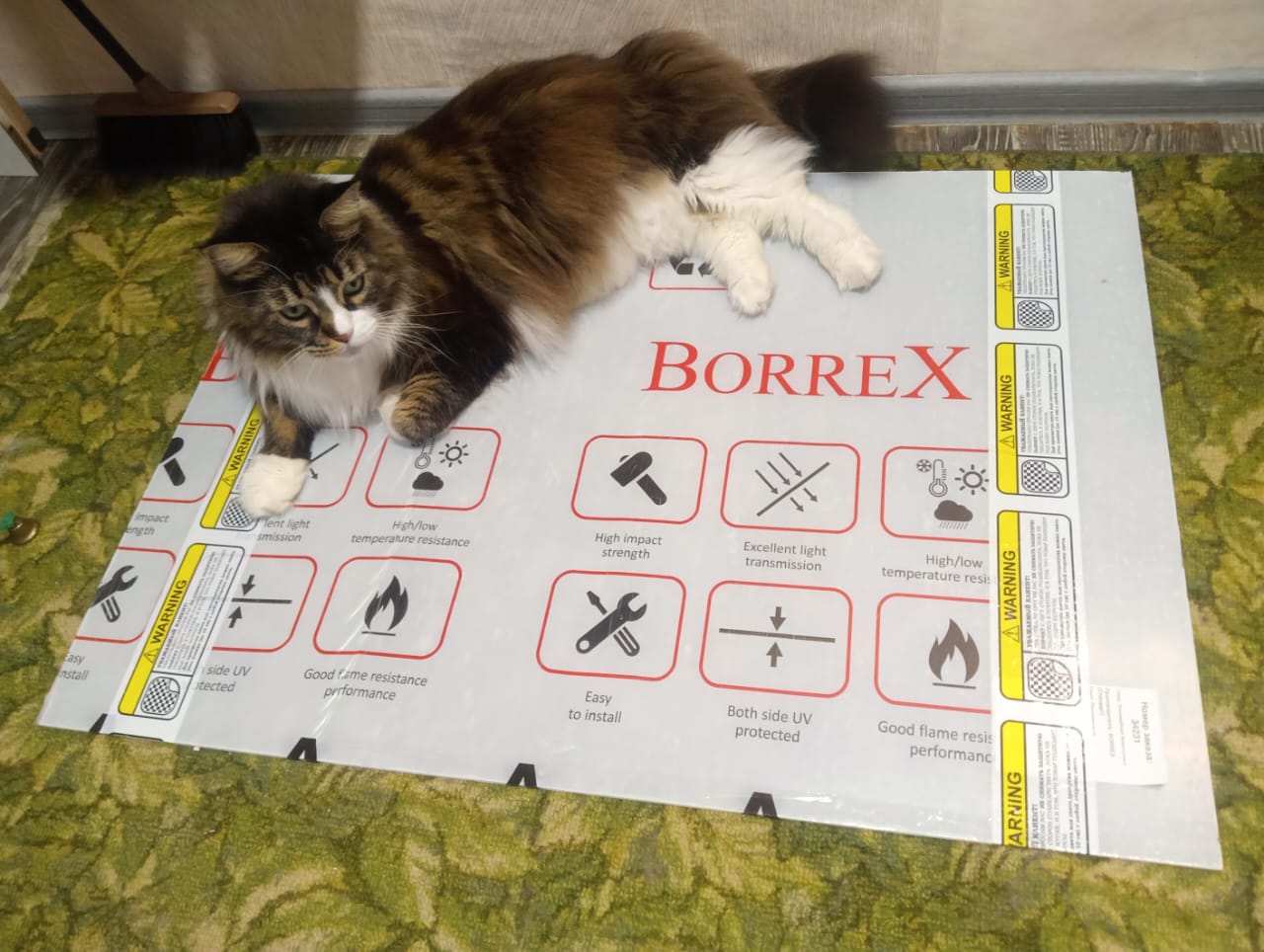 WhatsApp Image 2024-12-05 at 19.00.32.jpeg