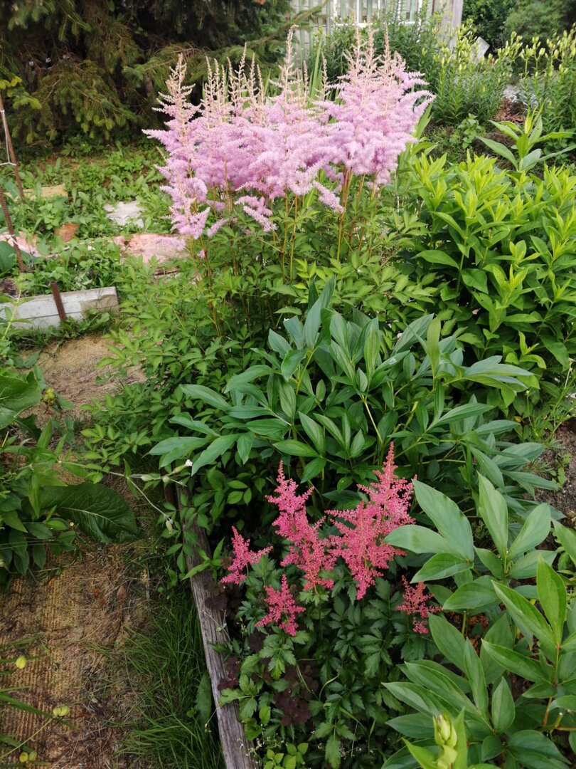 WhatsApp Image 2025-07-01 at 19.58.07.jpeg