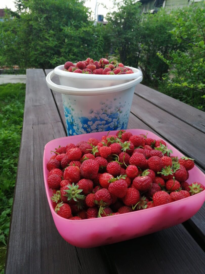 WhatsApp Image 2025-07-01 at 20.38.18.jpeg