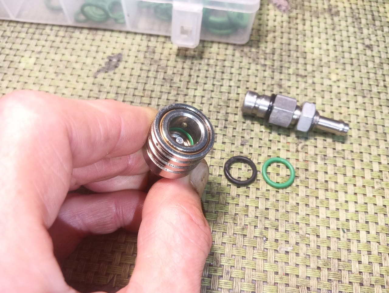 WhatsApp Image 2025-08-05 at 14.55.39.jpeg