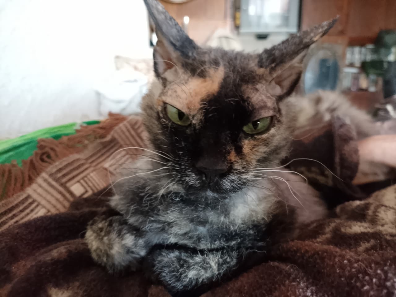 WhatsApp Image 2025-09-26 at 10.47.21 (1).jpeg