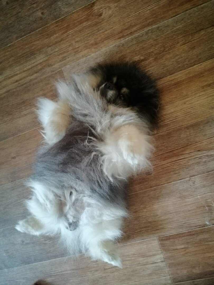 WhatsApp Image 2025-10-27 at 15.06.46.jpeg