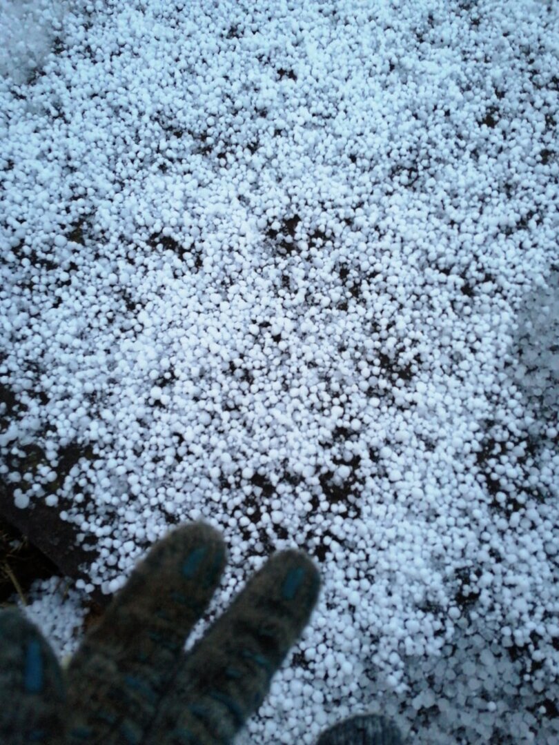 WhatsApp Image 2025-10-28 at 17.57.04.jpeg