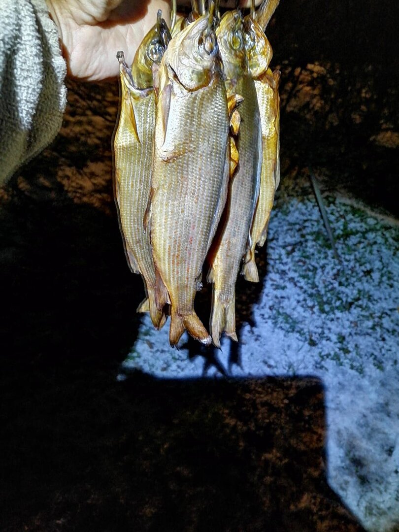 WhatsApp Image 2025-10-28 at 21.49.05.jpeg