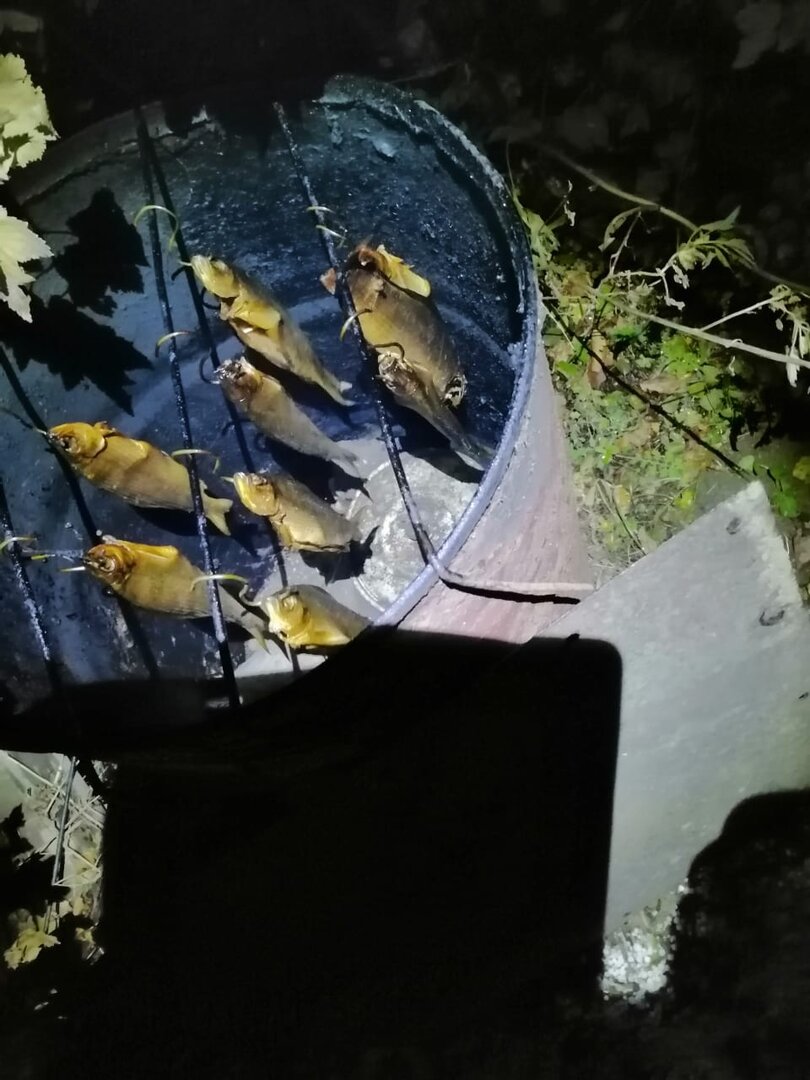 WhatsApp Image 2025-10-28 at 21.49.06.jpeg