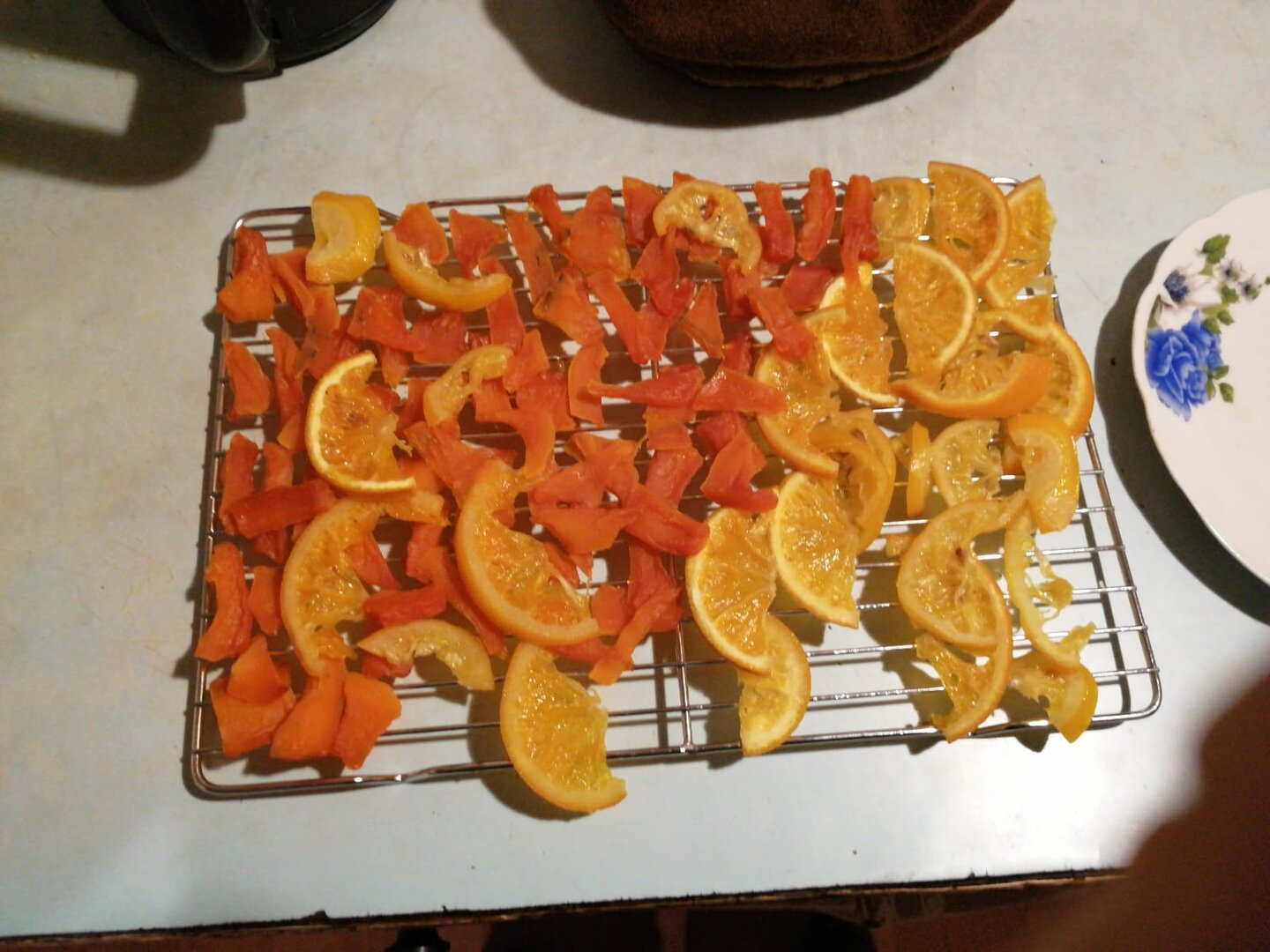 WhatsApp Image 2025-12-23 at 11.03.47.jpeg