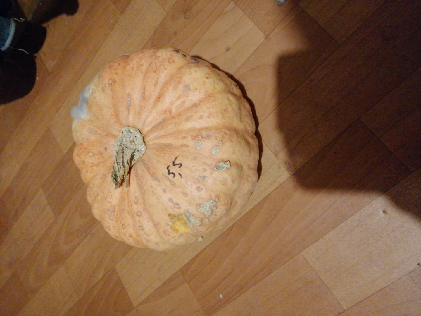 WhatsApp Image 2025-12-23 at 11.03.52.jpeg