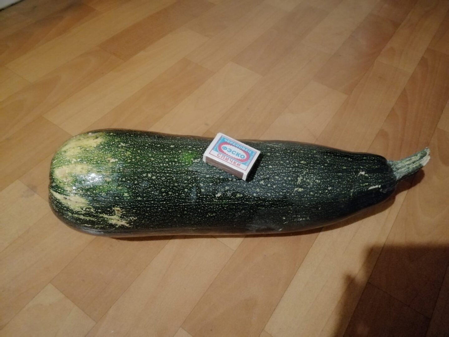 WhatsApp Image 2026-01-04 at 20.06.12 (1).jpeg