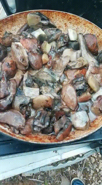 WhatsApp_Video_2019-09-01_at_23.30.44.gif