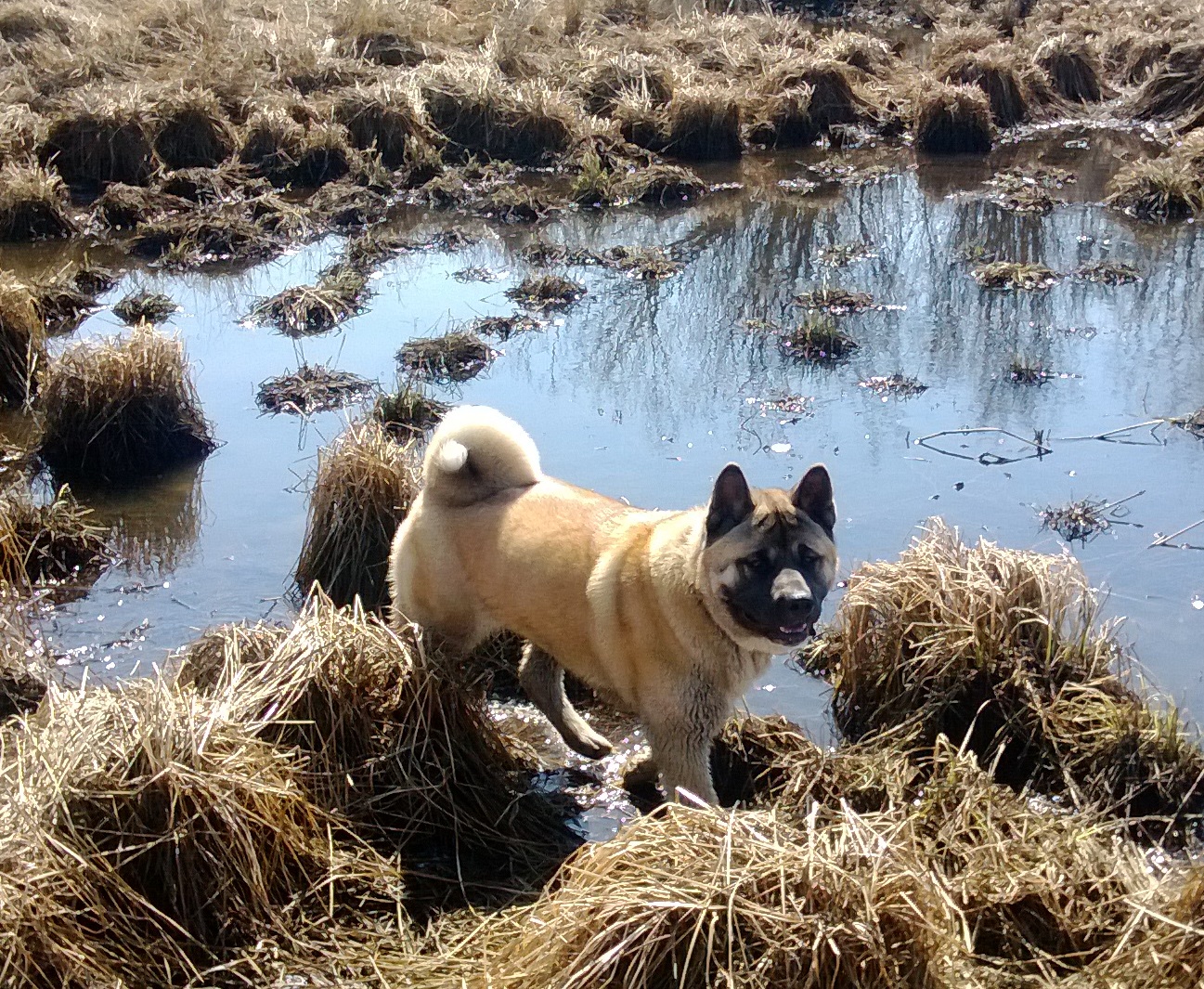 WP_20140412_006.jpg
