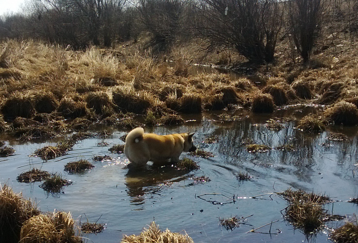 WP_20140412_007.jpg