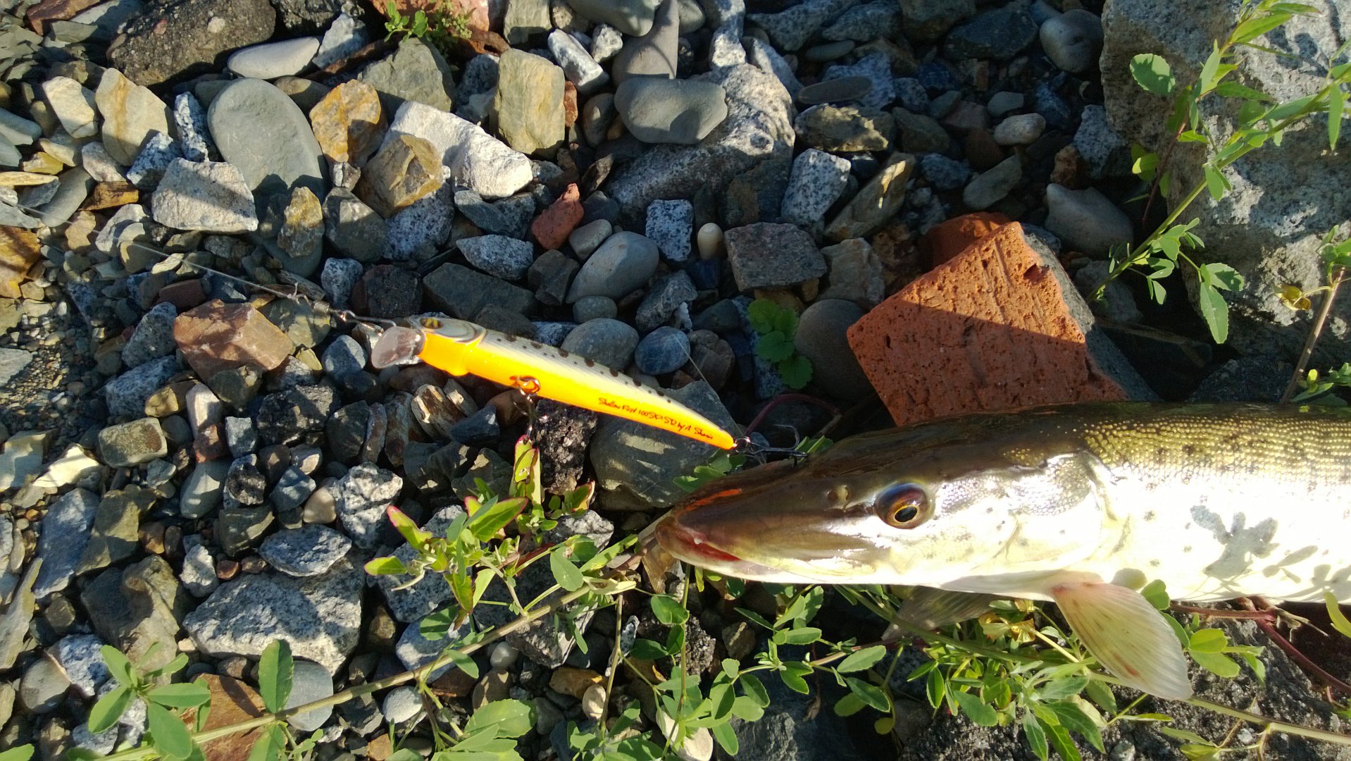 WP_20140805_001.jpg