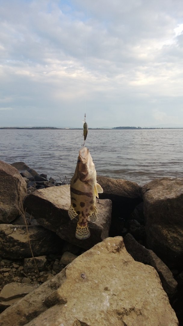 WP_20140820_001.jpg