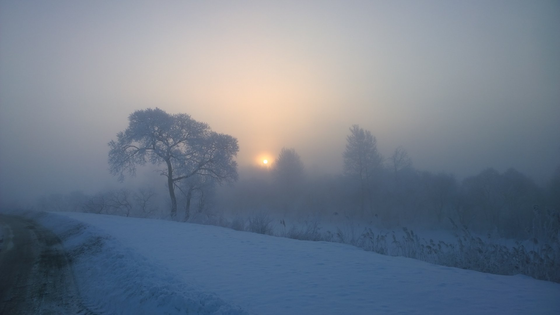 WP_20141117_08_41_48_Pro.jpg