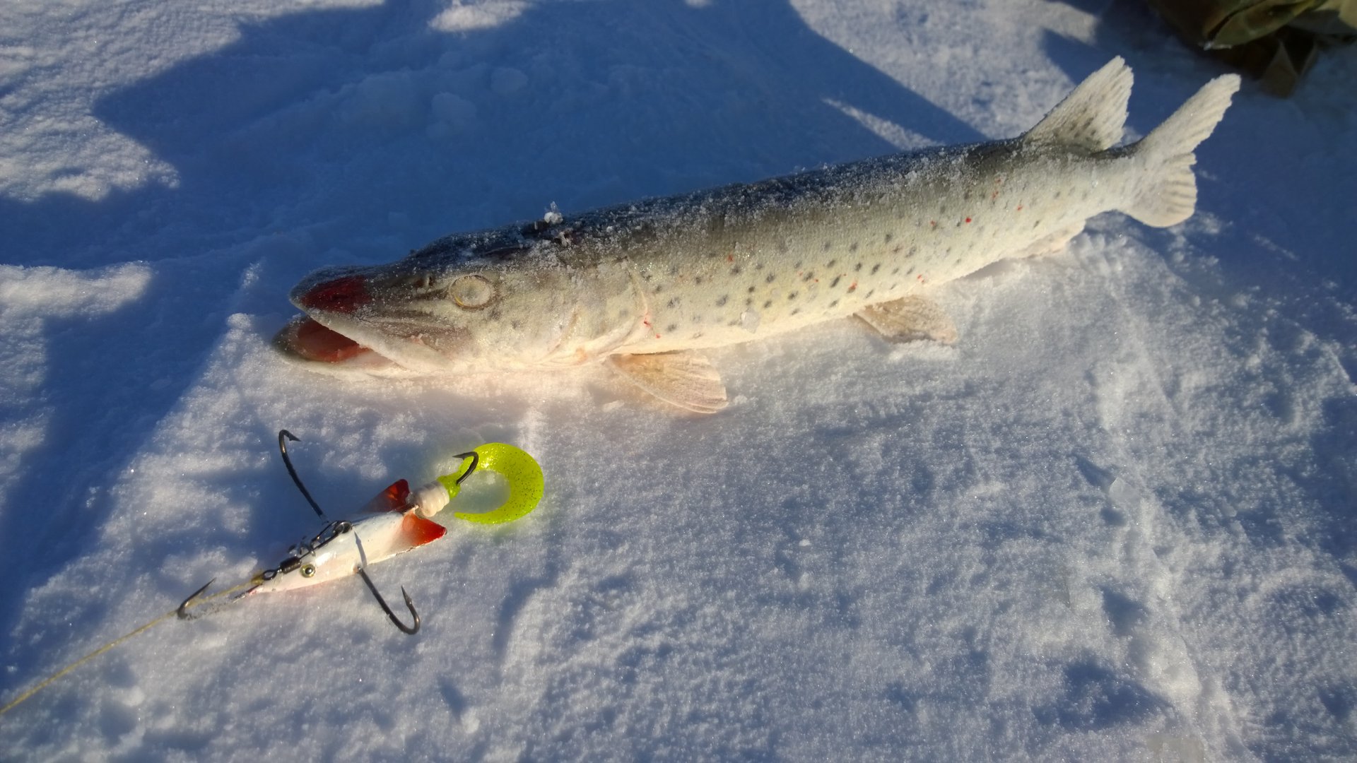 WP_20141215_10_42_00_Pro.jpg