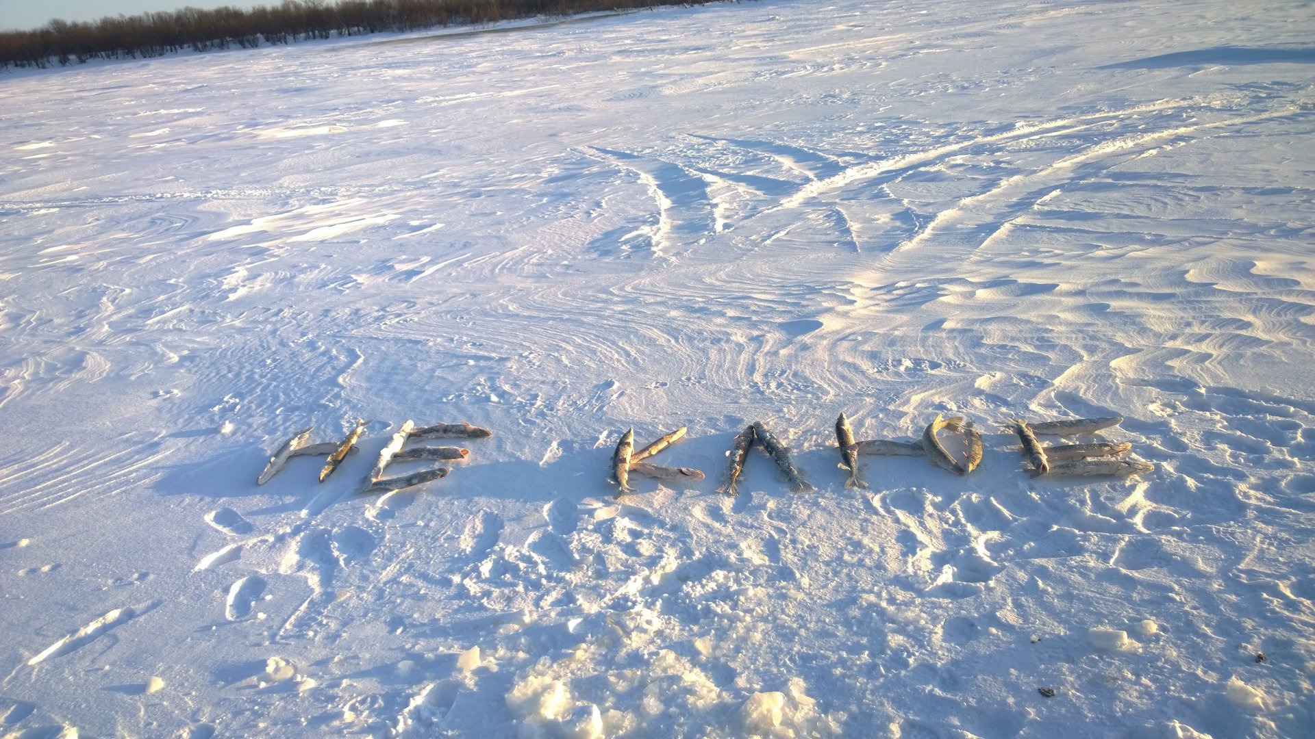 WP_20141224_16_04_58_Pro.jpg