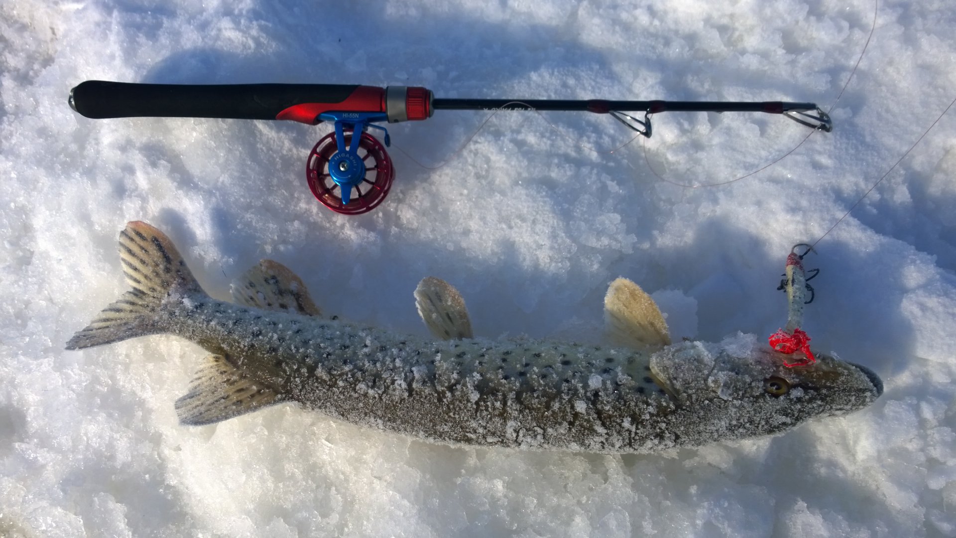 WP_20150219_10_22_31_Pro[1].jpg