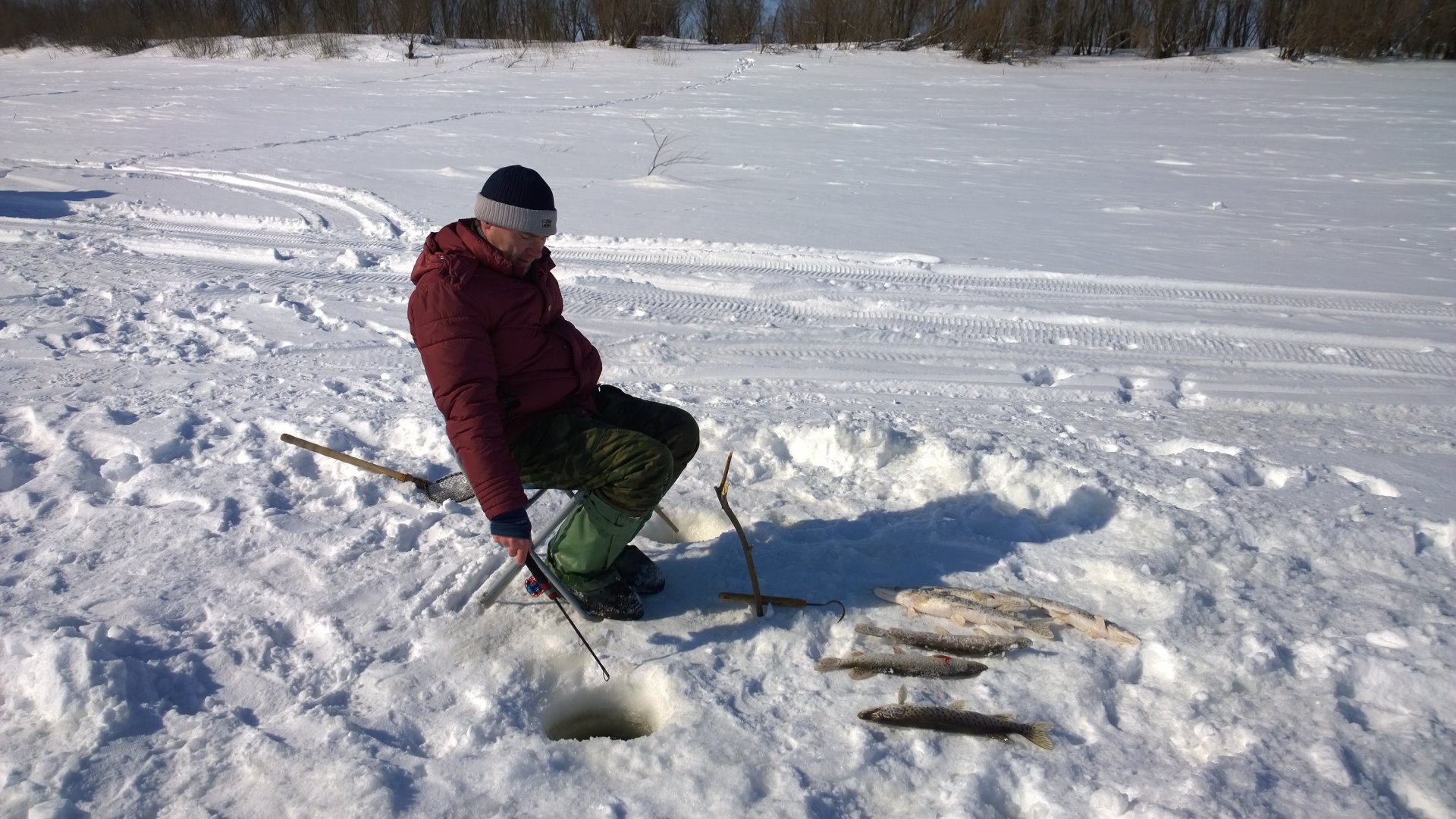 WP_20150219_13_52_22_Pro[1].jpg