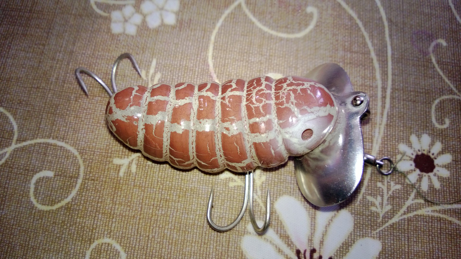 WP_20150221_057.jpg