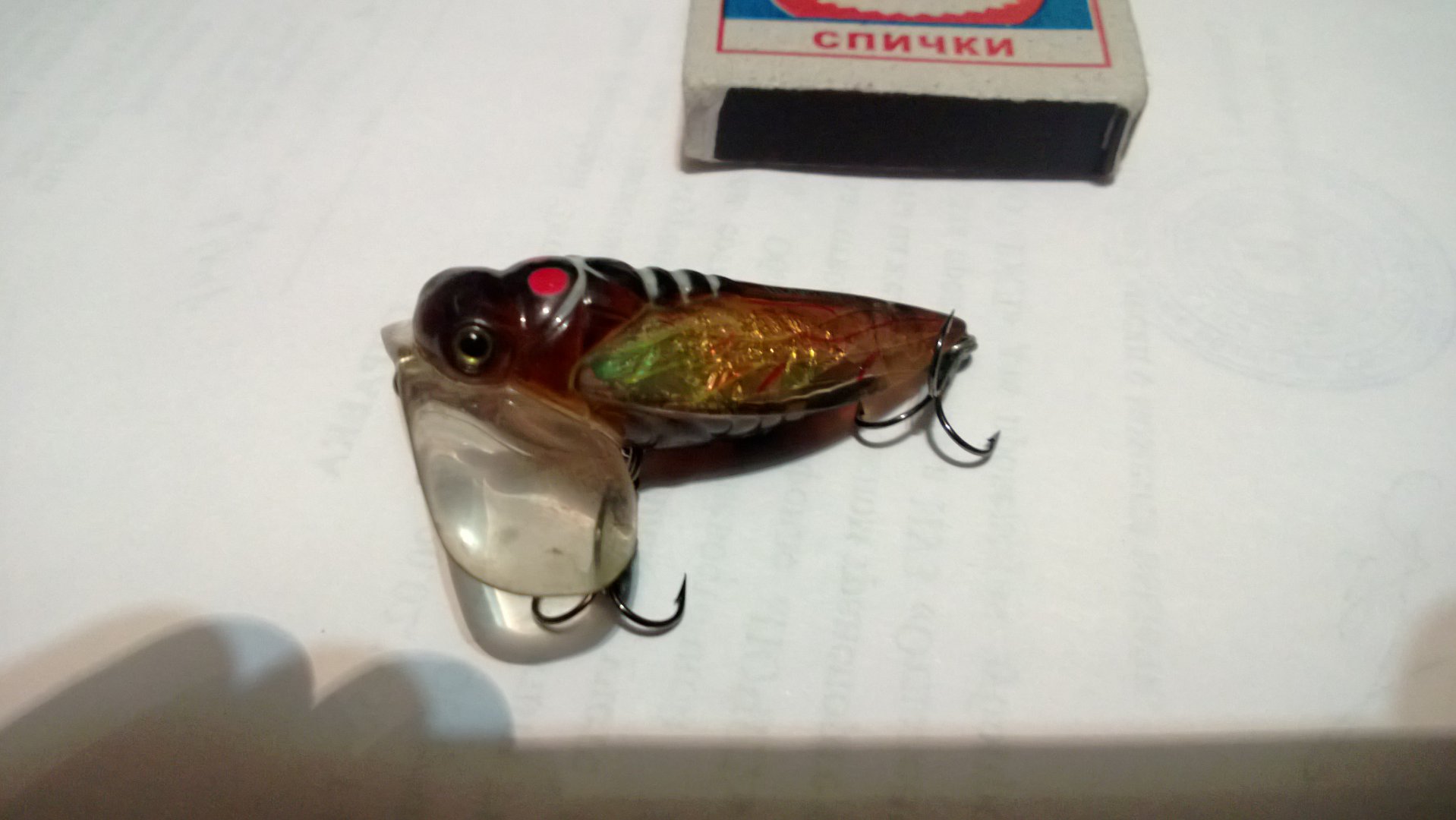 WP_20150224_006.jpg