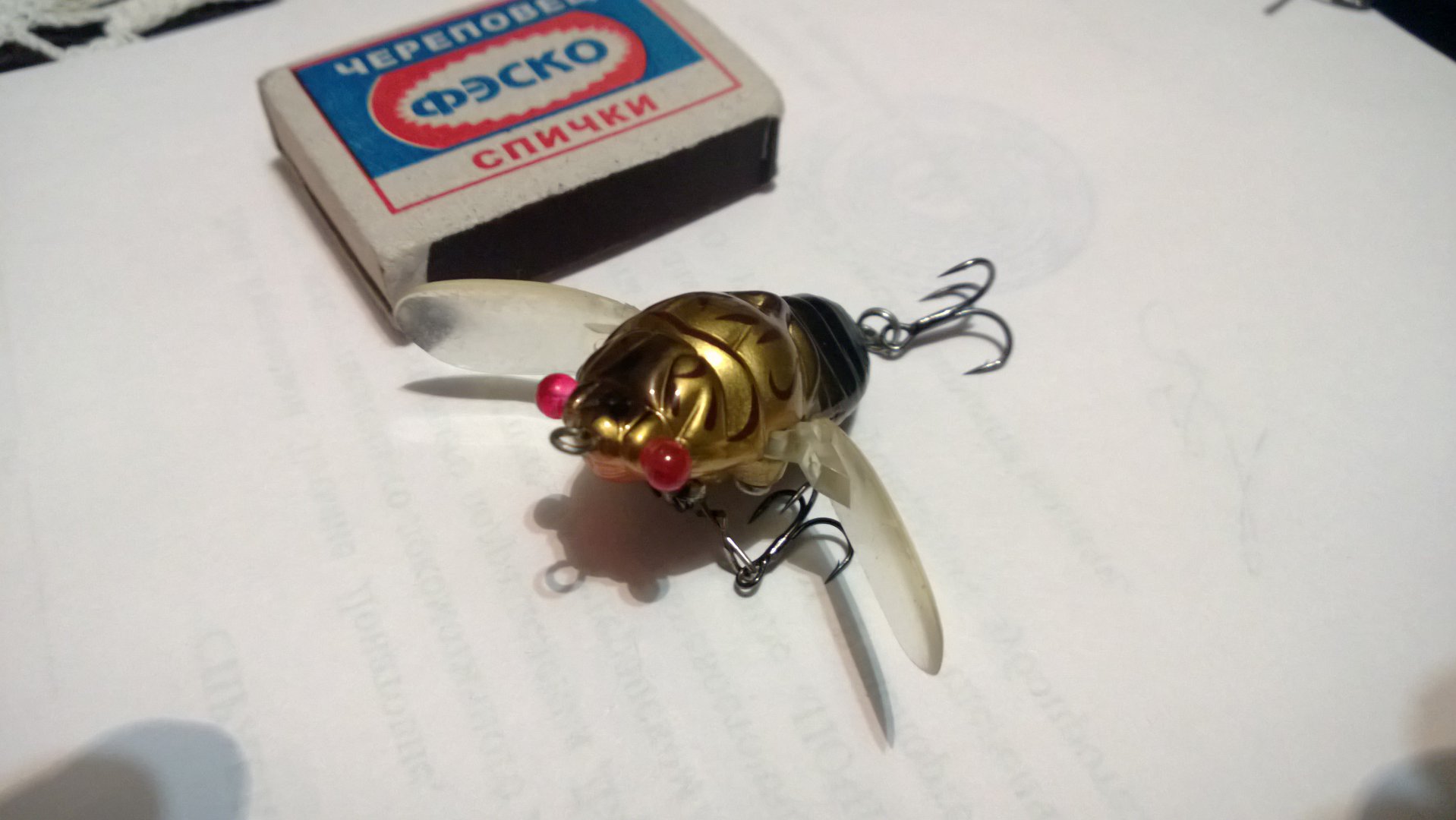 WP_20150224_007.jpg