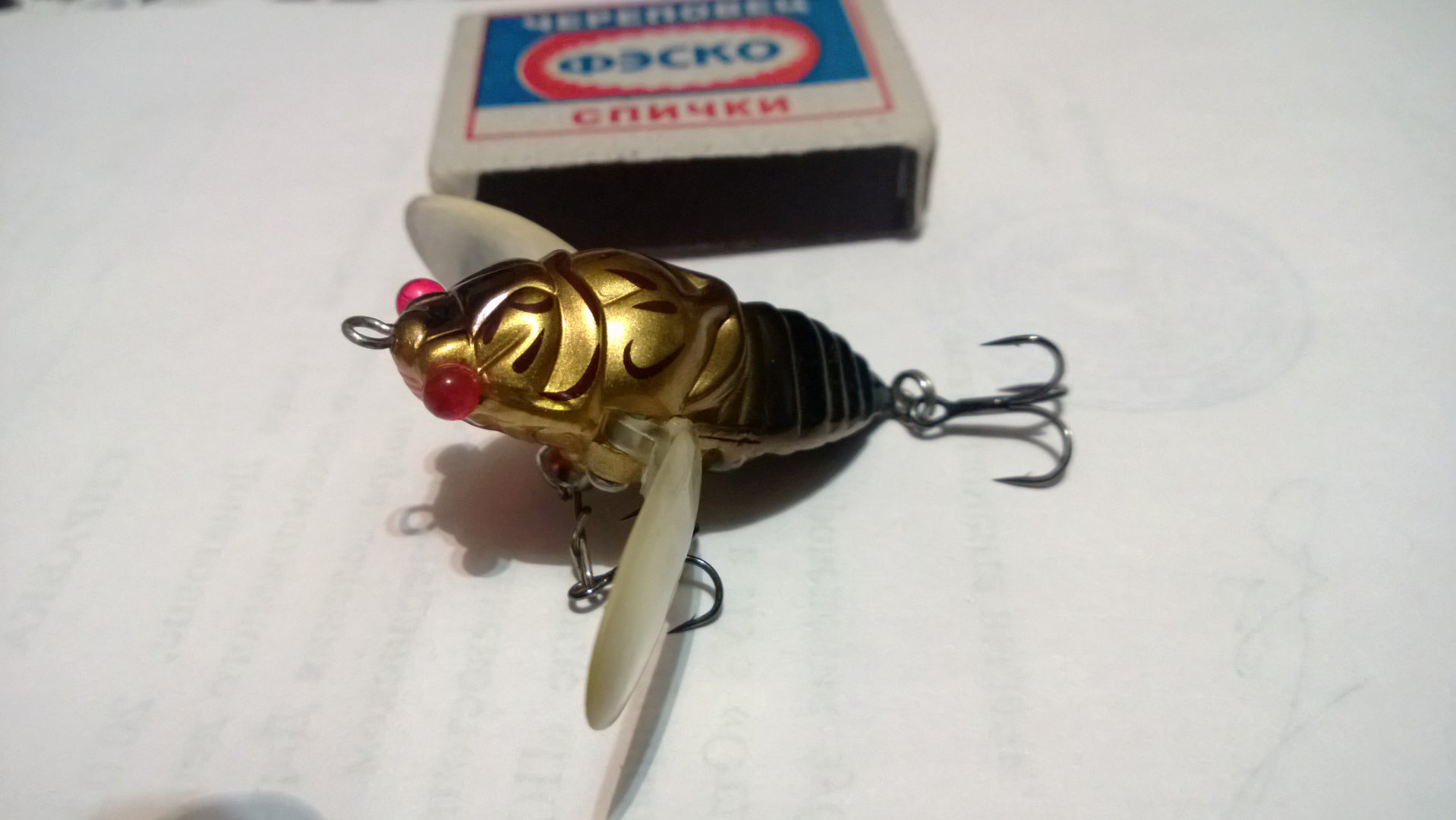 WP_20150224_008.jpg