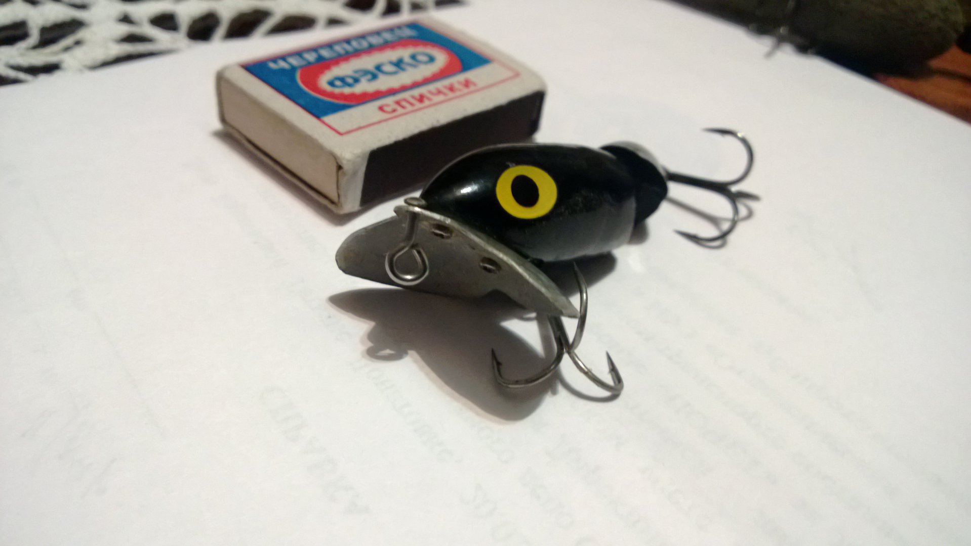 WP_20150224_011.jpg