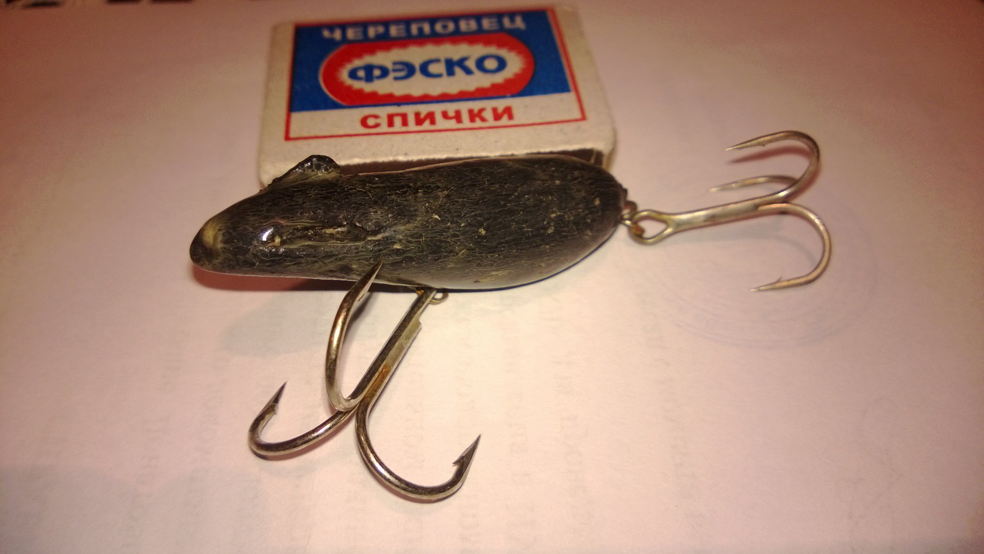 WP_20150224_012.jpg