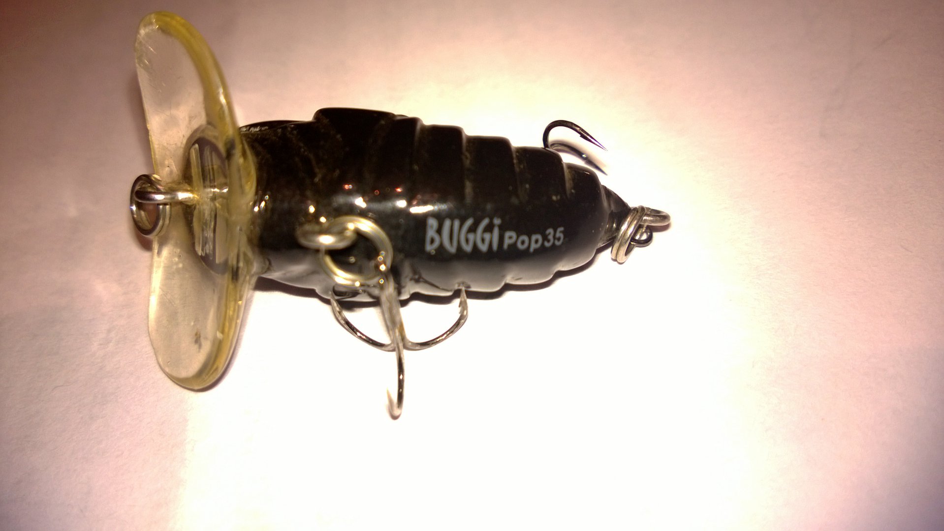 WP_20150224_016.jpg