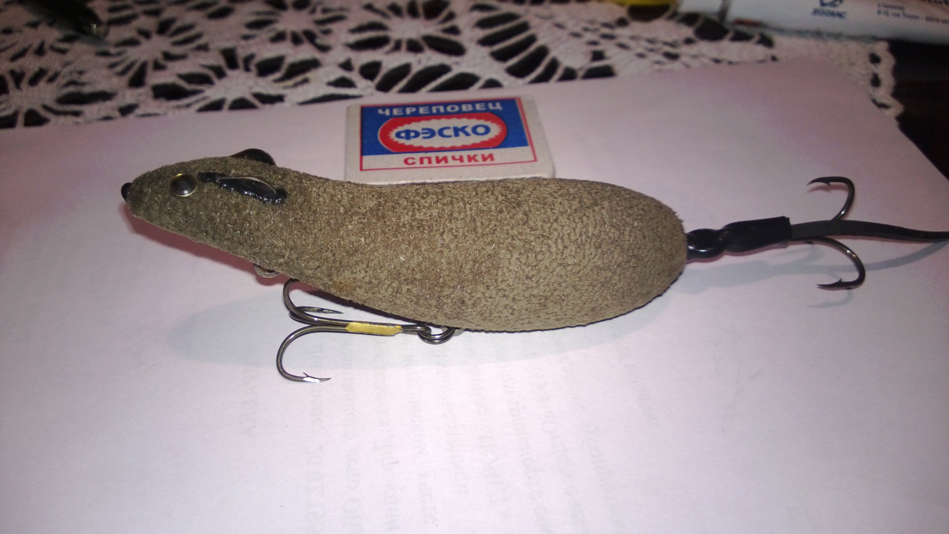 WP_20150224_017.jpg