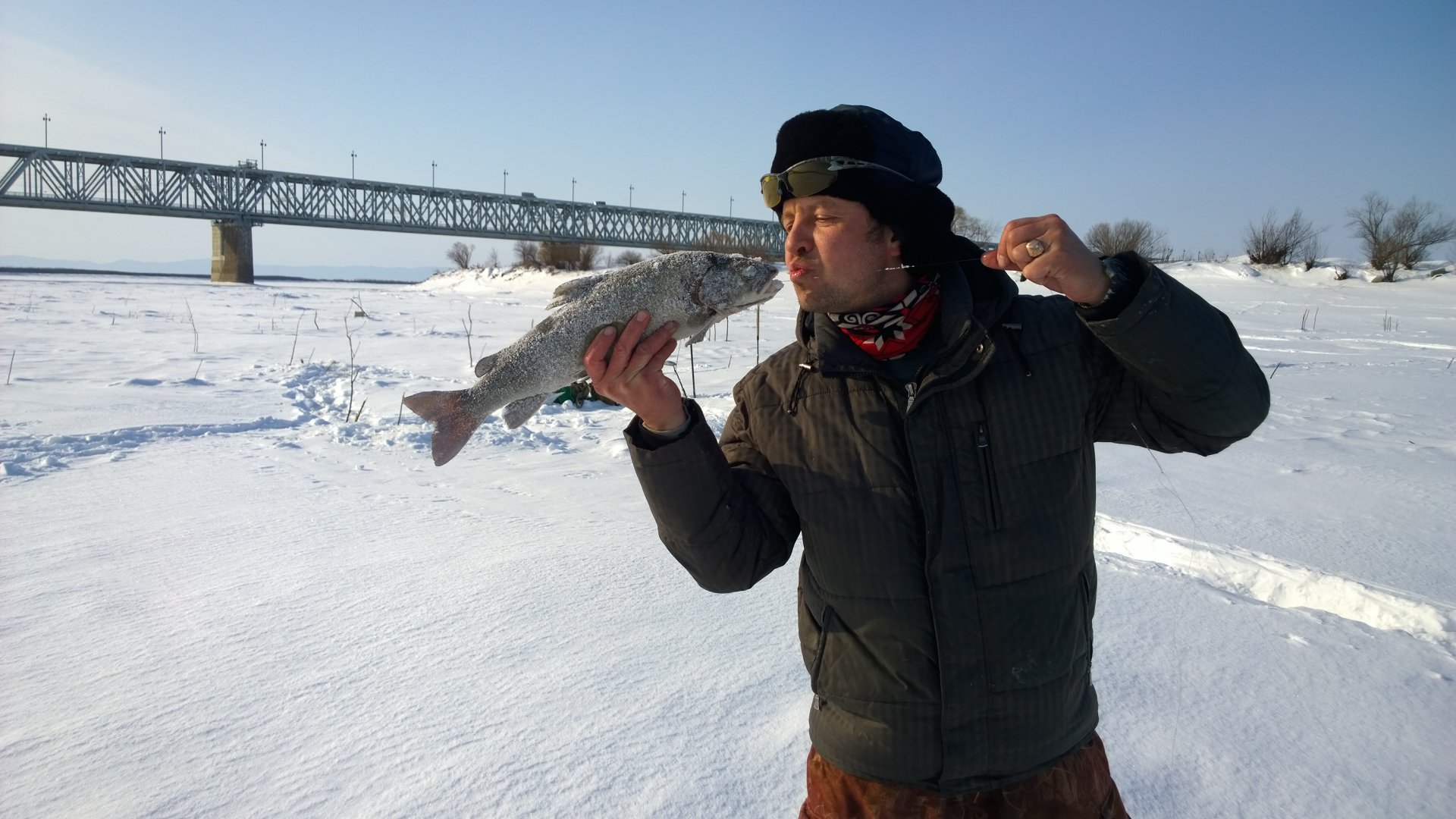 WP_20150305_10_20_12_Pro.jpg