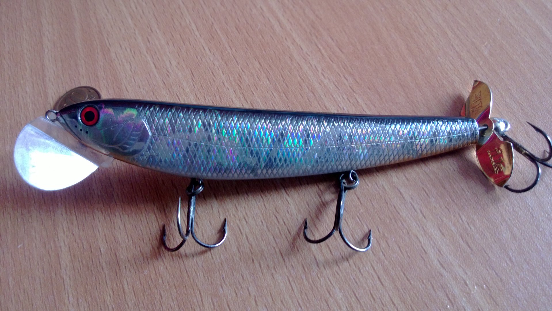 WP_20150312_010.jpg