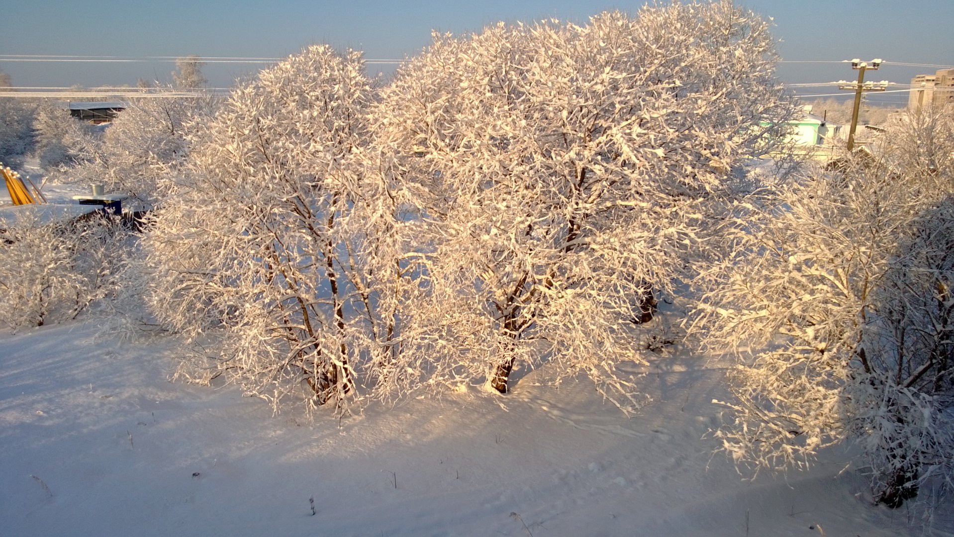 WP_20150317_002.jpg