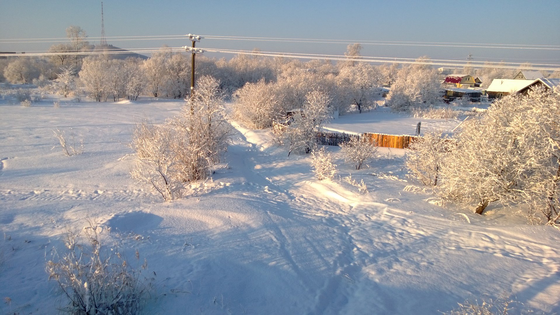 WP_20150317_003.jpg