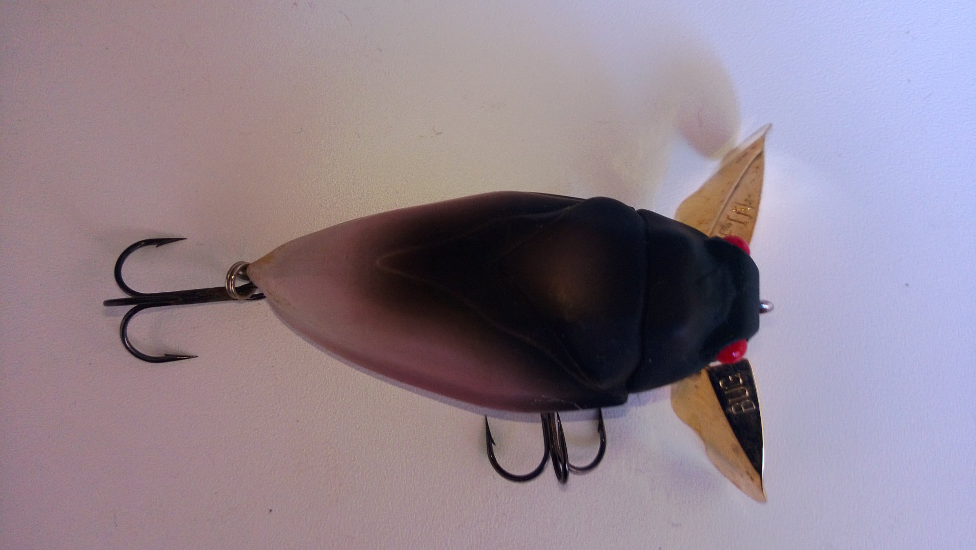 WP_20150320_012.jpg